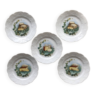 Lot de 5 assiettes à fromage porcelaine lierre sauvage