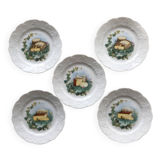 Set of 5 wild ivy porcelain cheese plates