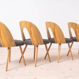 Dining Table with Set of 4 Dining Chairs by Antonin Šuman, Fully Restored