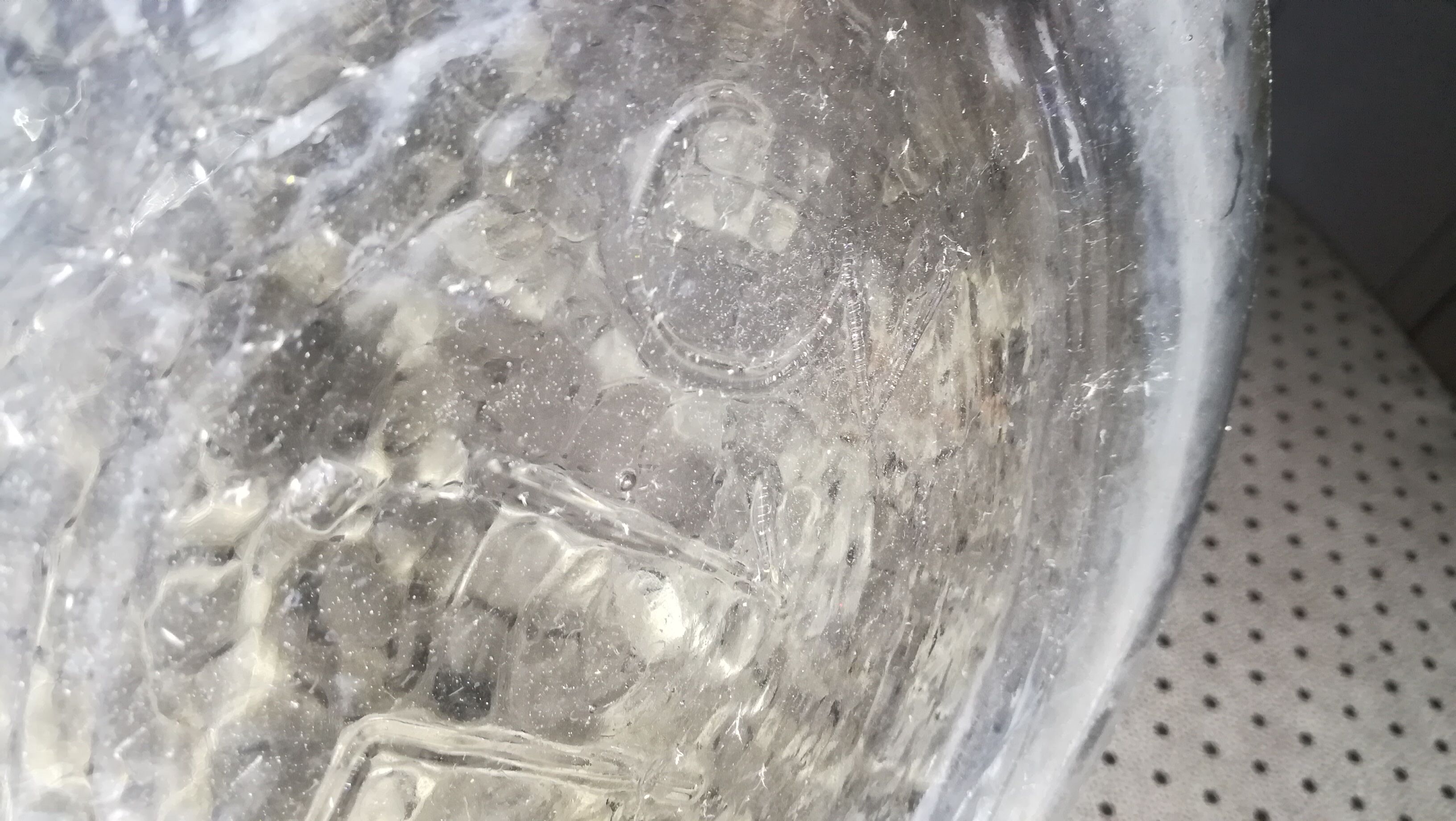 Demijohn canbonne 30 liters