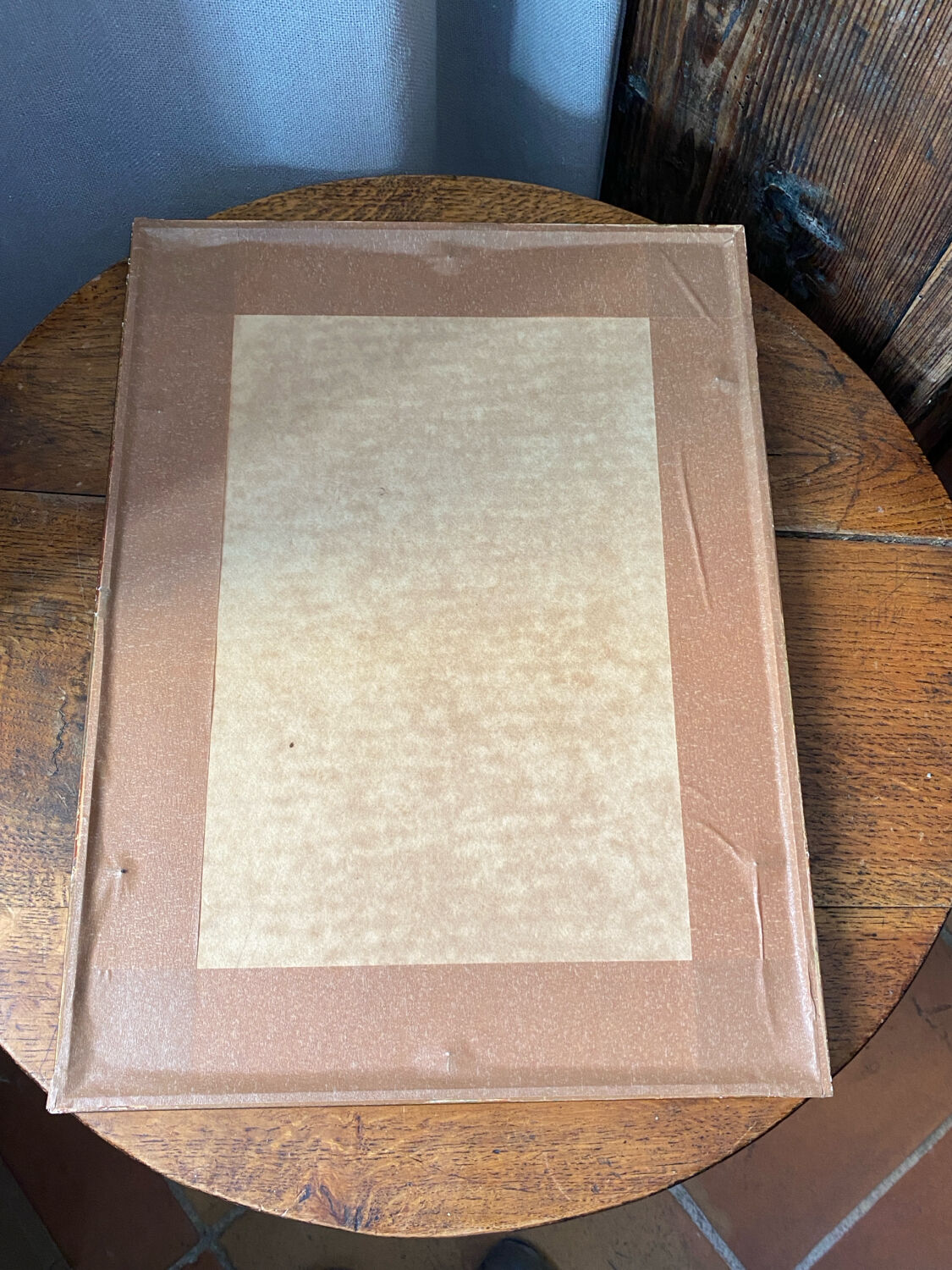 Poster, botanical plate Brachycome iberidifolia