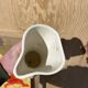 Roger Capron - rare mural vase