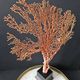 Gorgone Rouge XXL Wooden Base. H: 40 cm | Curiosity Decorative Object