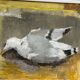Original Swedish Oil on Canvas – “Seagull” by Ingeborg Stragnell – Signed