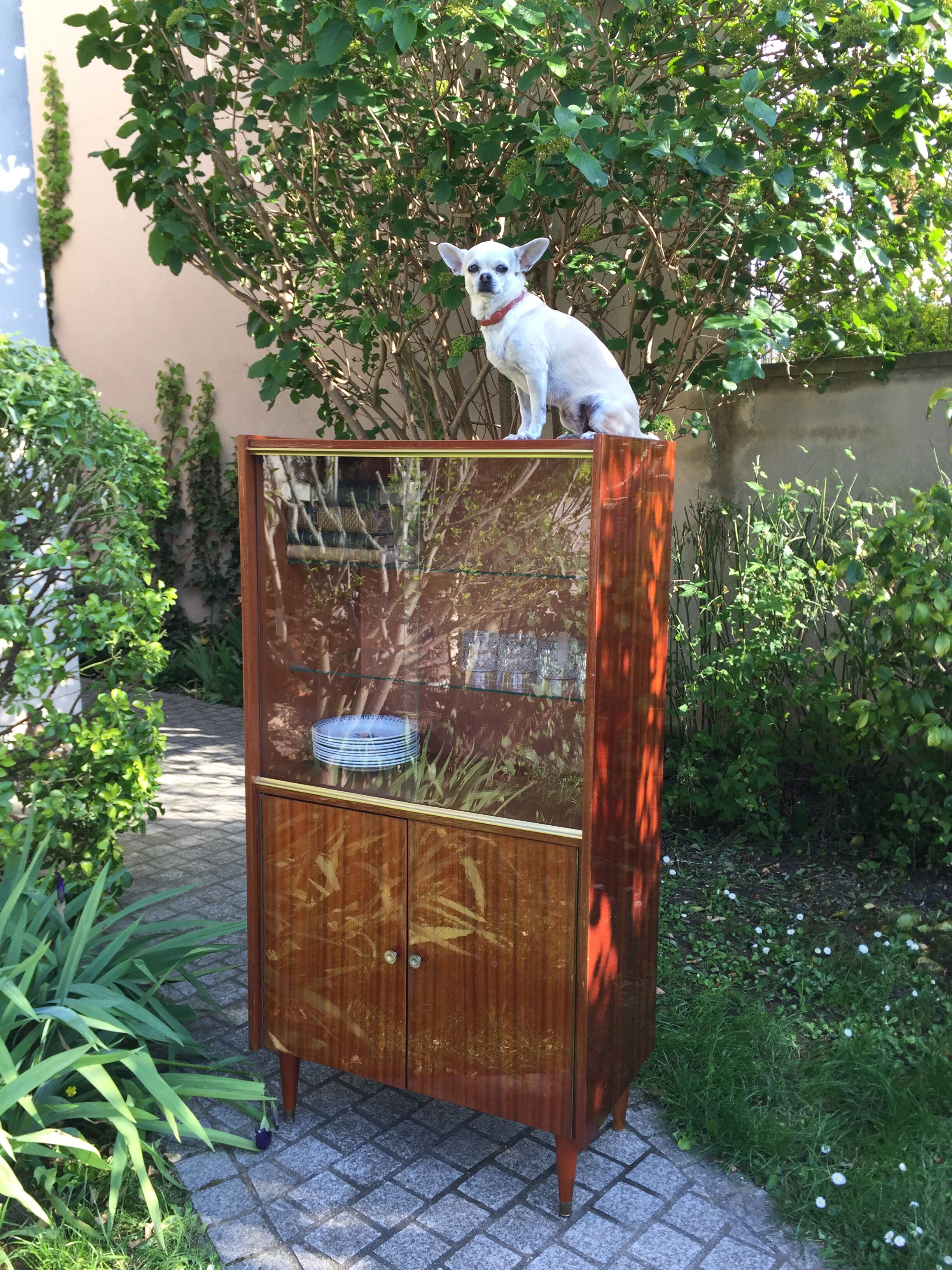 Buffet vaisselier vintage 1950 avec vitrine