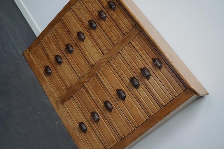 Apothecary furniture in French pine twentieth century