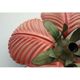 Ceiling lamp palm 70s