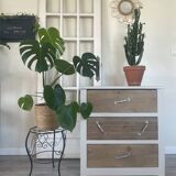 Eugenie chest of drawers