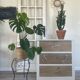 Eugenie chest of drawers