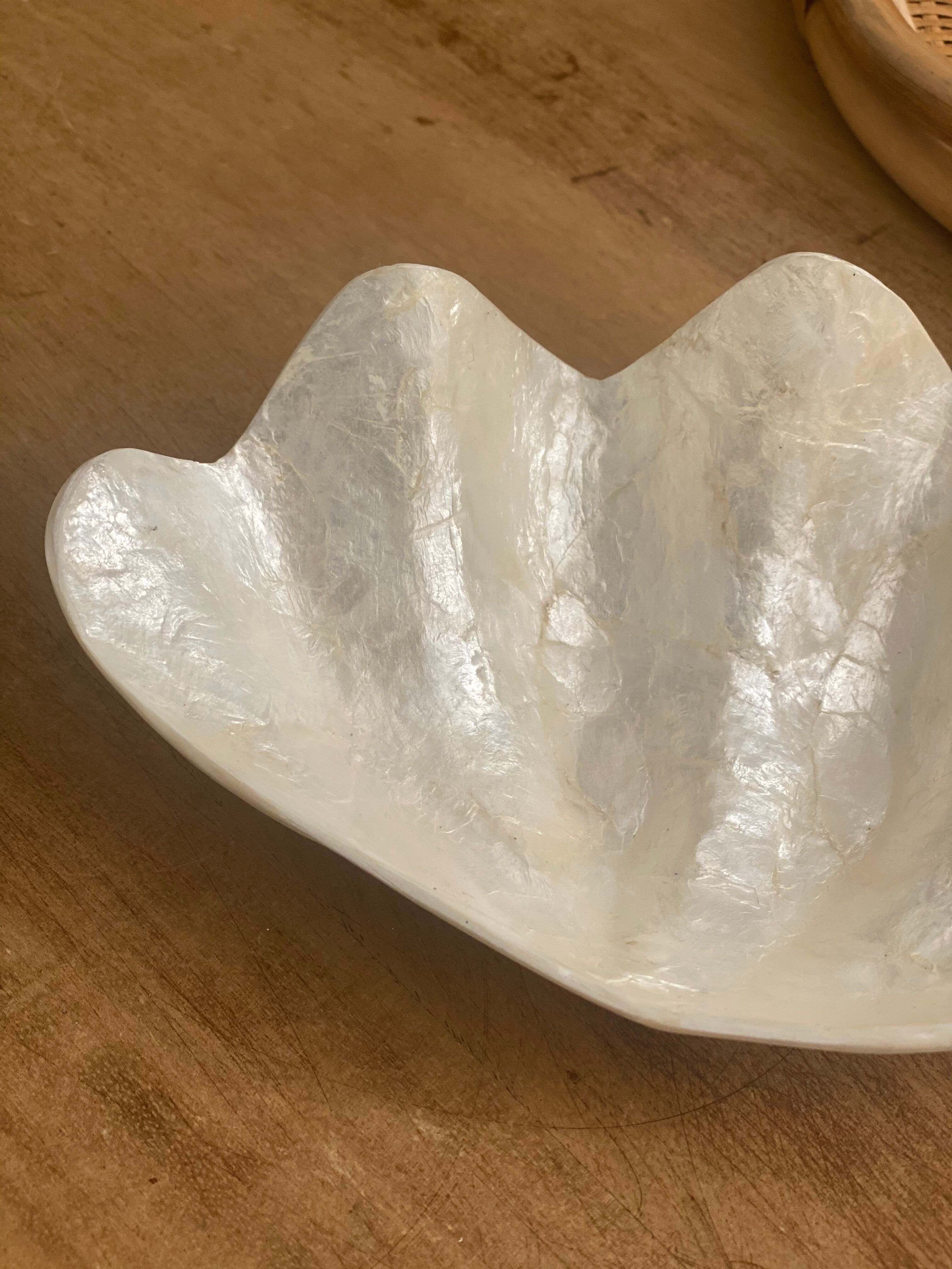Pearly white shell benign cup
