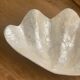 Pearly white shell benign cup