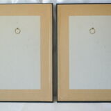 Pair of framed bird engravings
