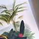 Vintage Board - Green Aracari by John Gould. Exotic Bird Illustration