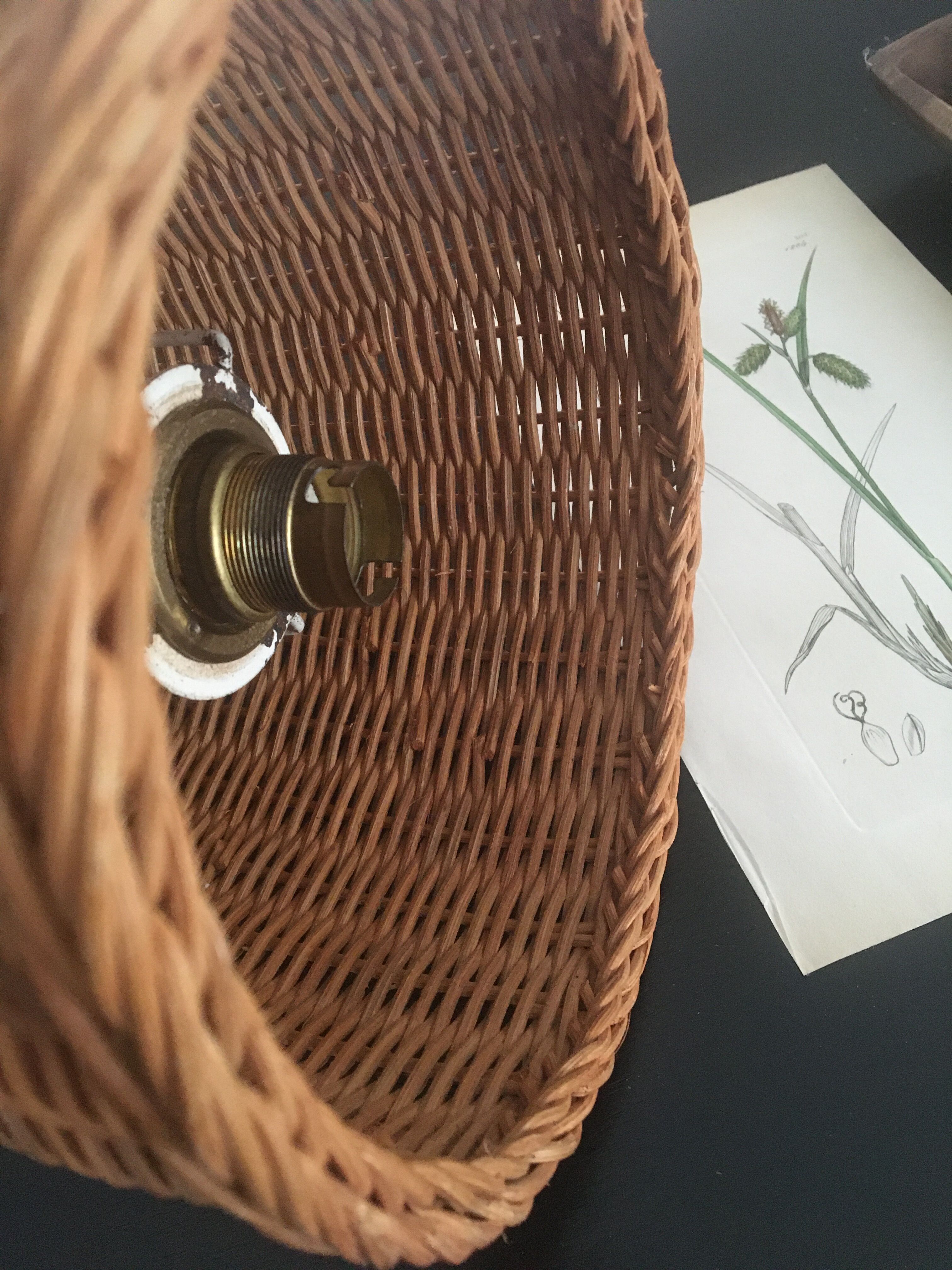 Baladeuse osier et câble tout coloris  2 m