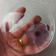 Trinket bowl, flower cactus, Mc Connico Daum