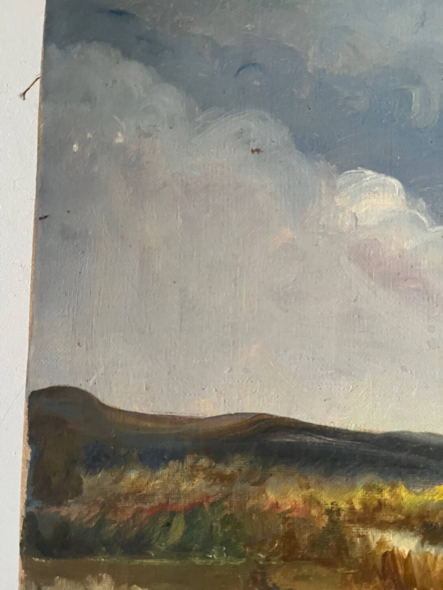 Paysage de printemps avec arbre, signé