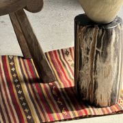 Petrified wood side table, white bark