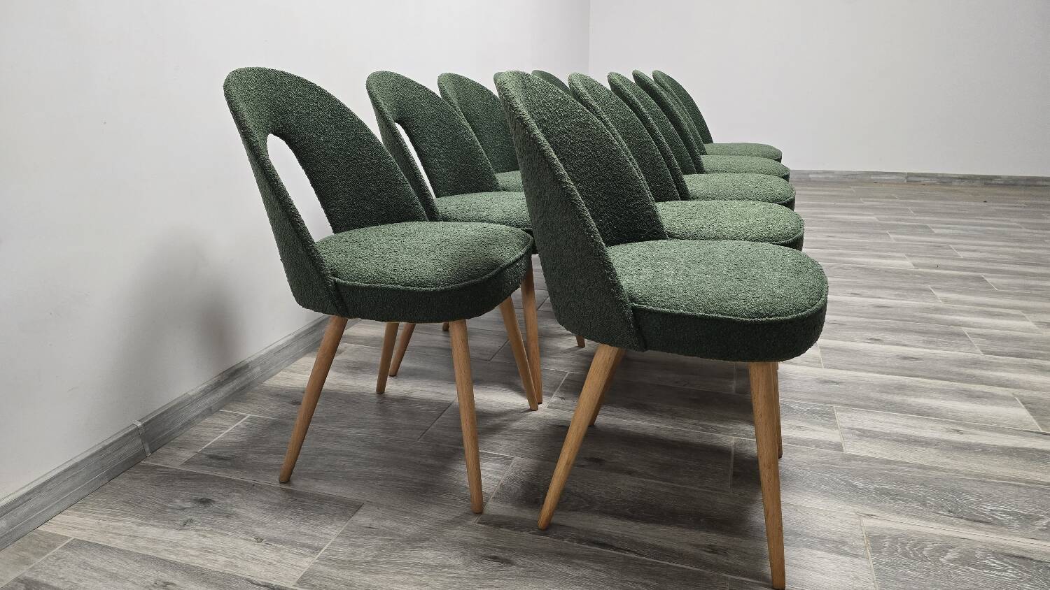 Dining Chairs by Antonin Suman, 1960s, Set of 10