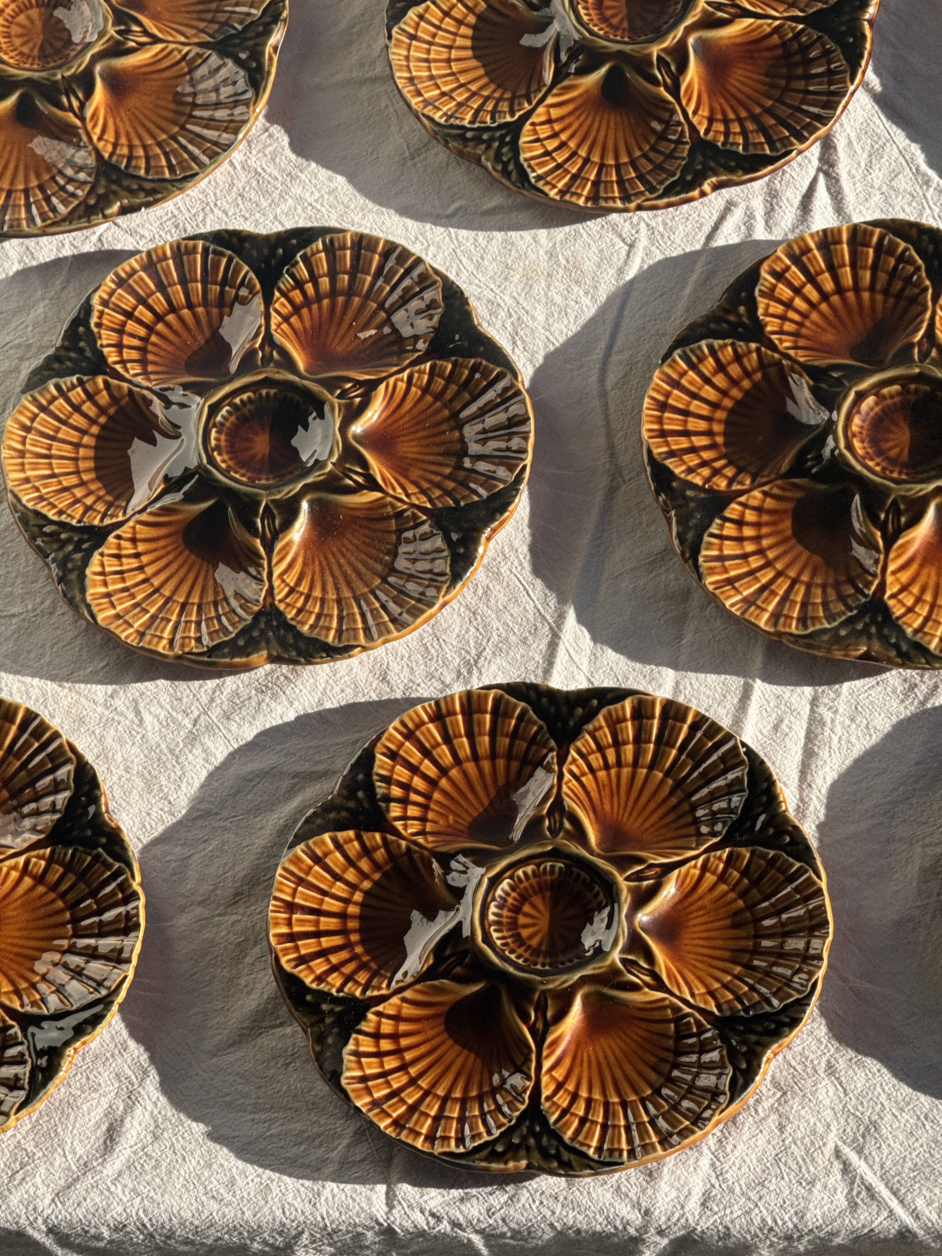 Set of 12 oyster or shell plates in glazed brown ceramic D