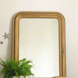 Mirror Louis Philippe 62x94cm