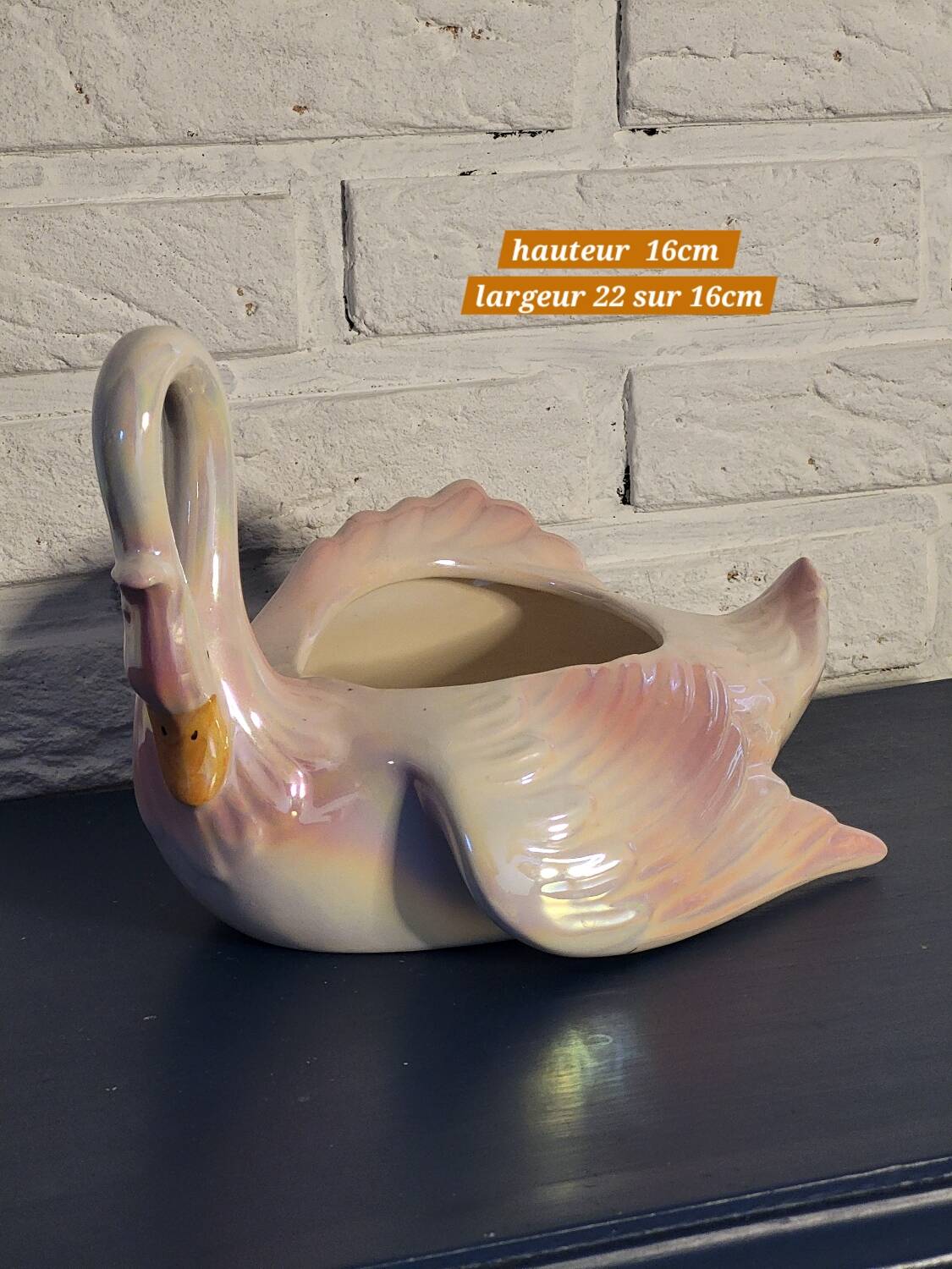 Swan plant pot