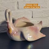 Swan plant pot