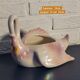 Swan plant pot