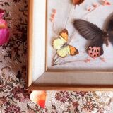 Gilded wooden frame with naturalized butterflies