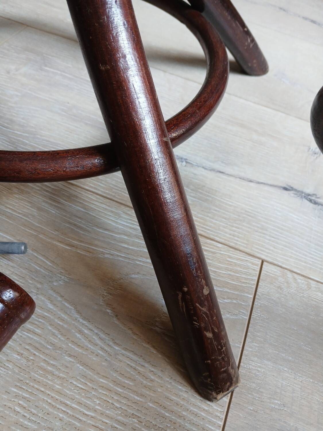 Porte manteau perroquet