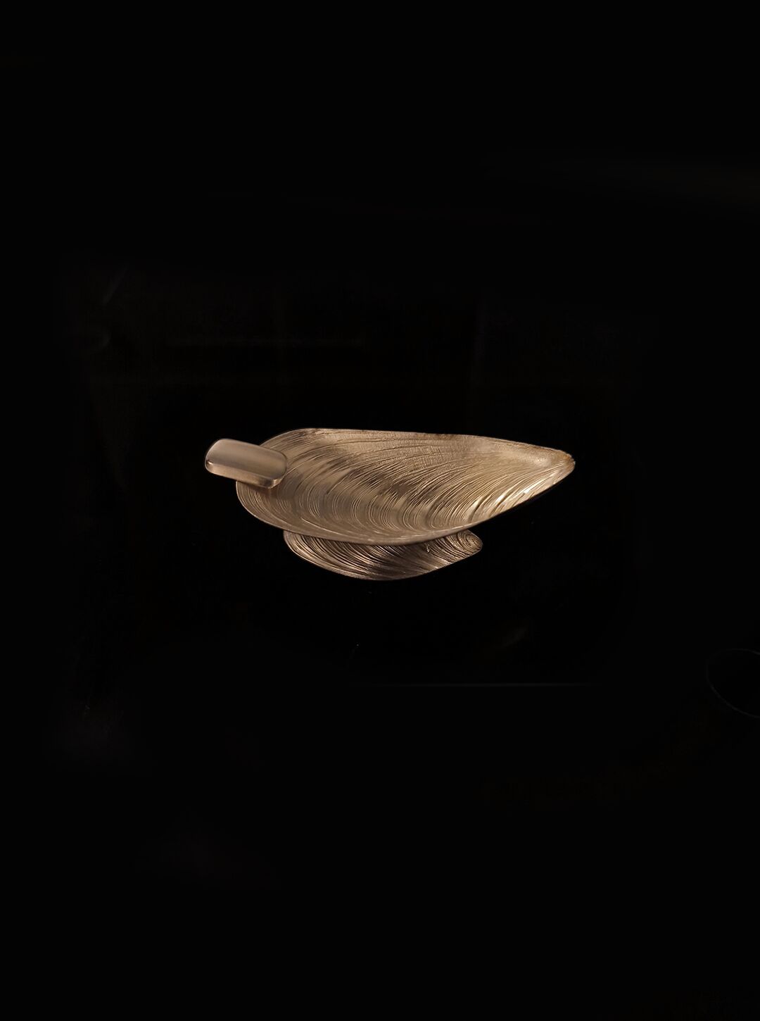 Shell ashtray