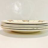 Plates charcoal-salt, nymphea, terre de fer
