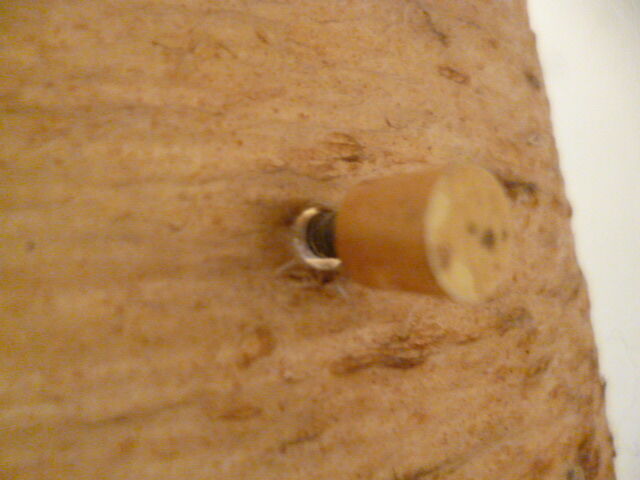 Lamp vintage of 50 years in resin