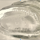 Carafe, bottle shaped fish in glass