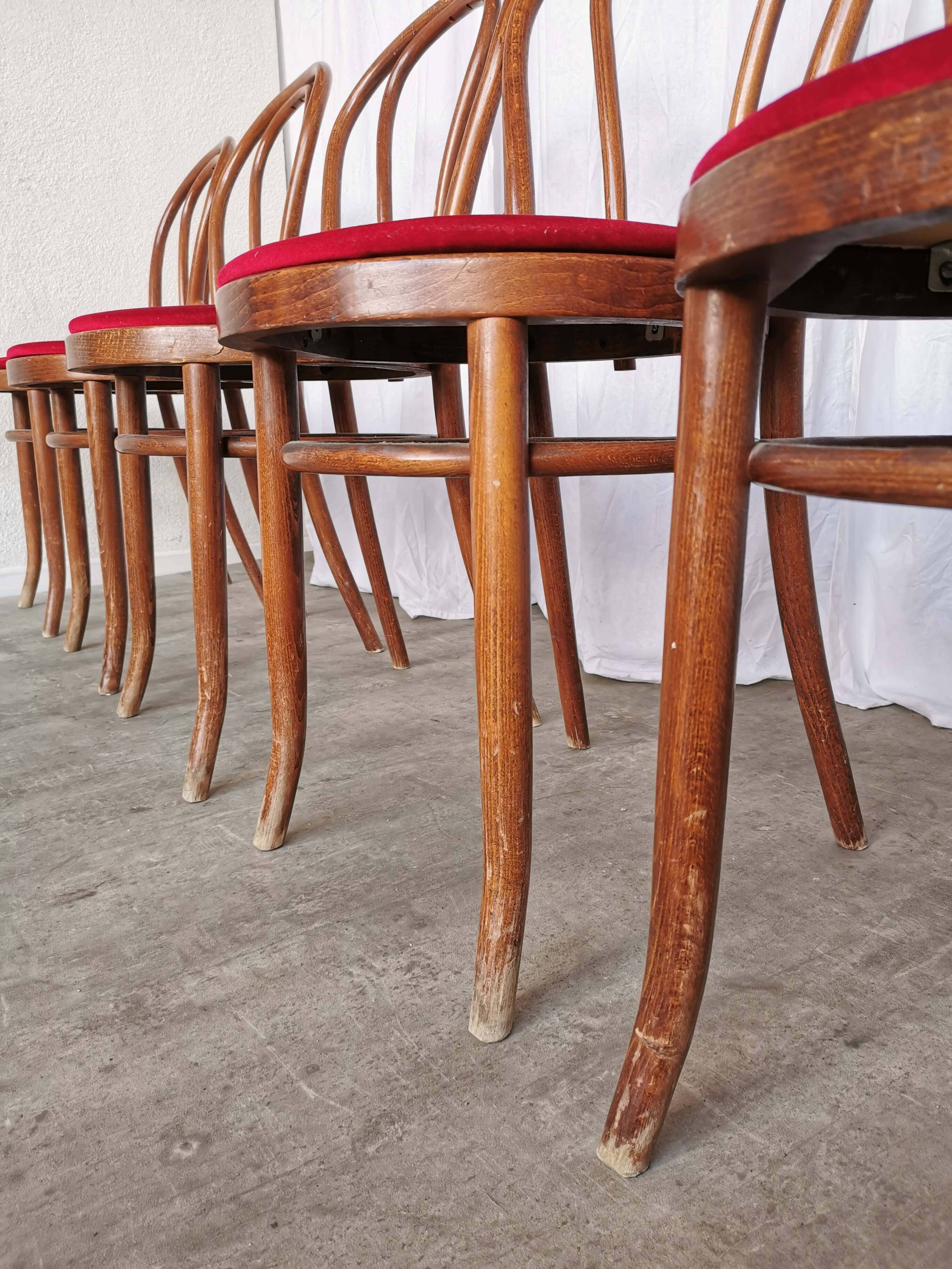 Set of 6 Vintage Bentwood Dining Chairs Set: 1970s , Red Uphols