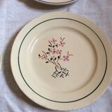 4 dinner plates