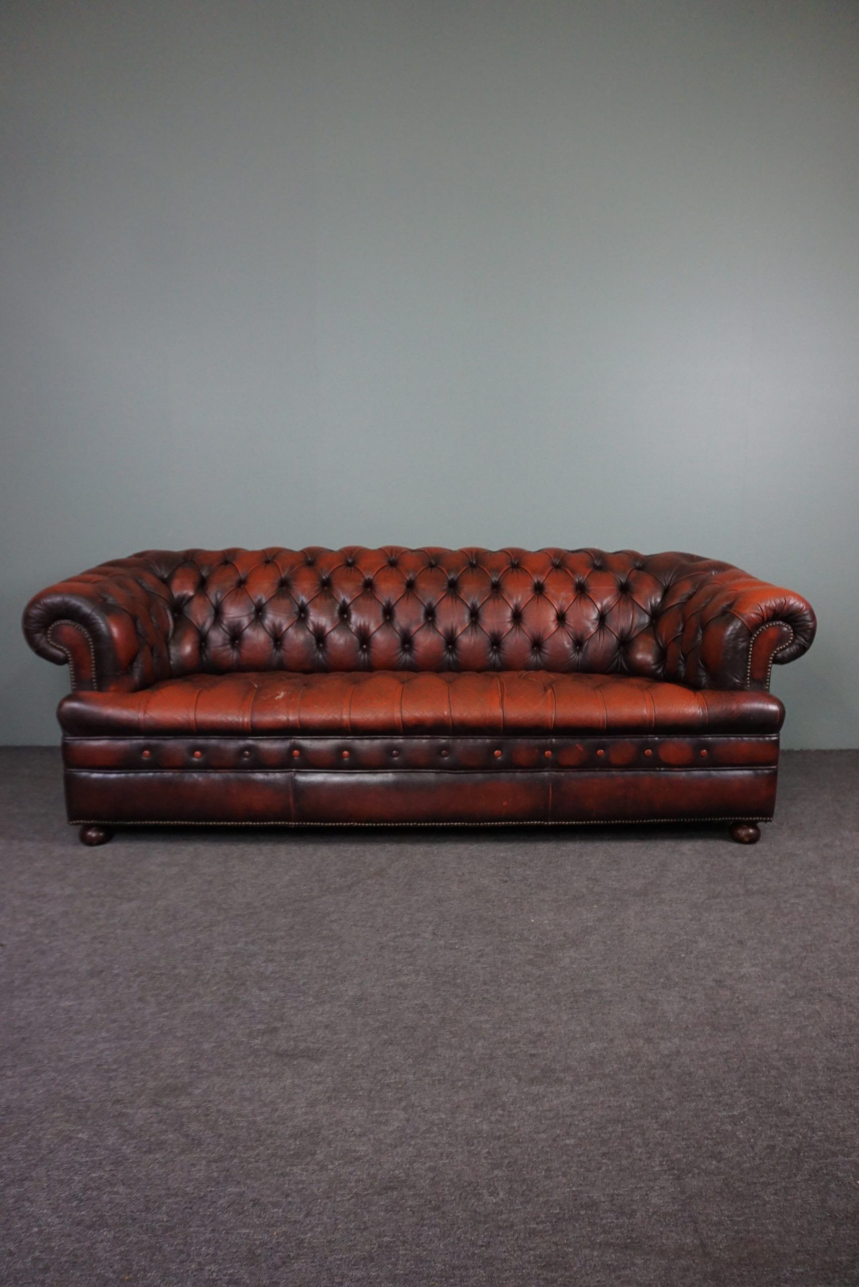 Chesterfield sofa in resistant cowhide, 3 seats