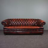 Chesterfield sofa in resistant cowhide, 3 seats