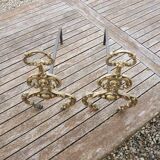 Antique brass andirons with lion decoration