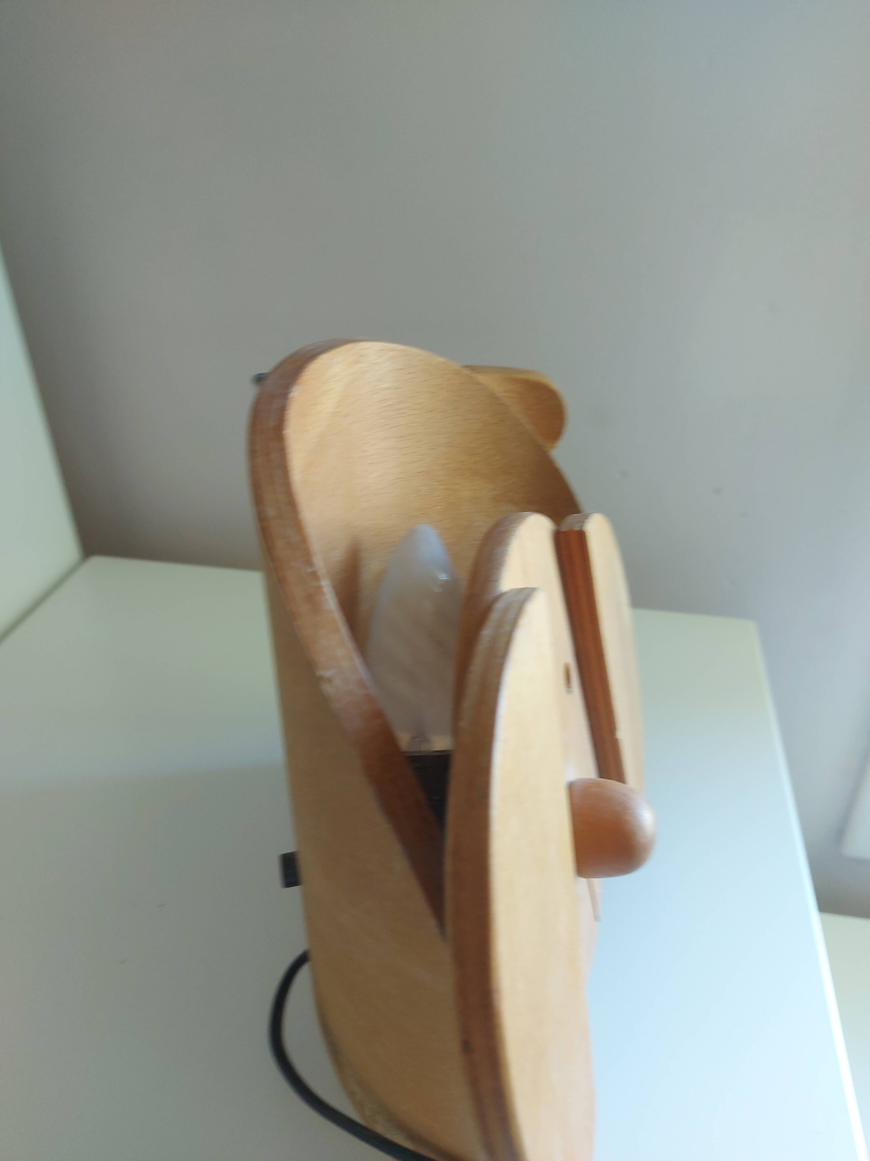 Vintage 80's wooden dog lamp, raison, france