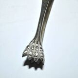 Vintage engraved silver metal lion claw sugar tongs