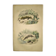 Original zoological plate of 1839 " the terrestrial salamander,....