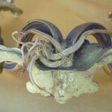 Paire d'Appliques en bronze Style Louis XV
