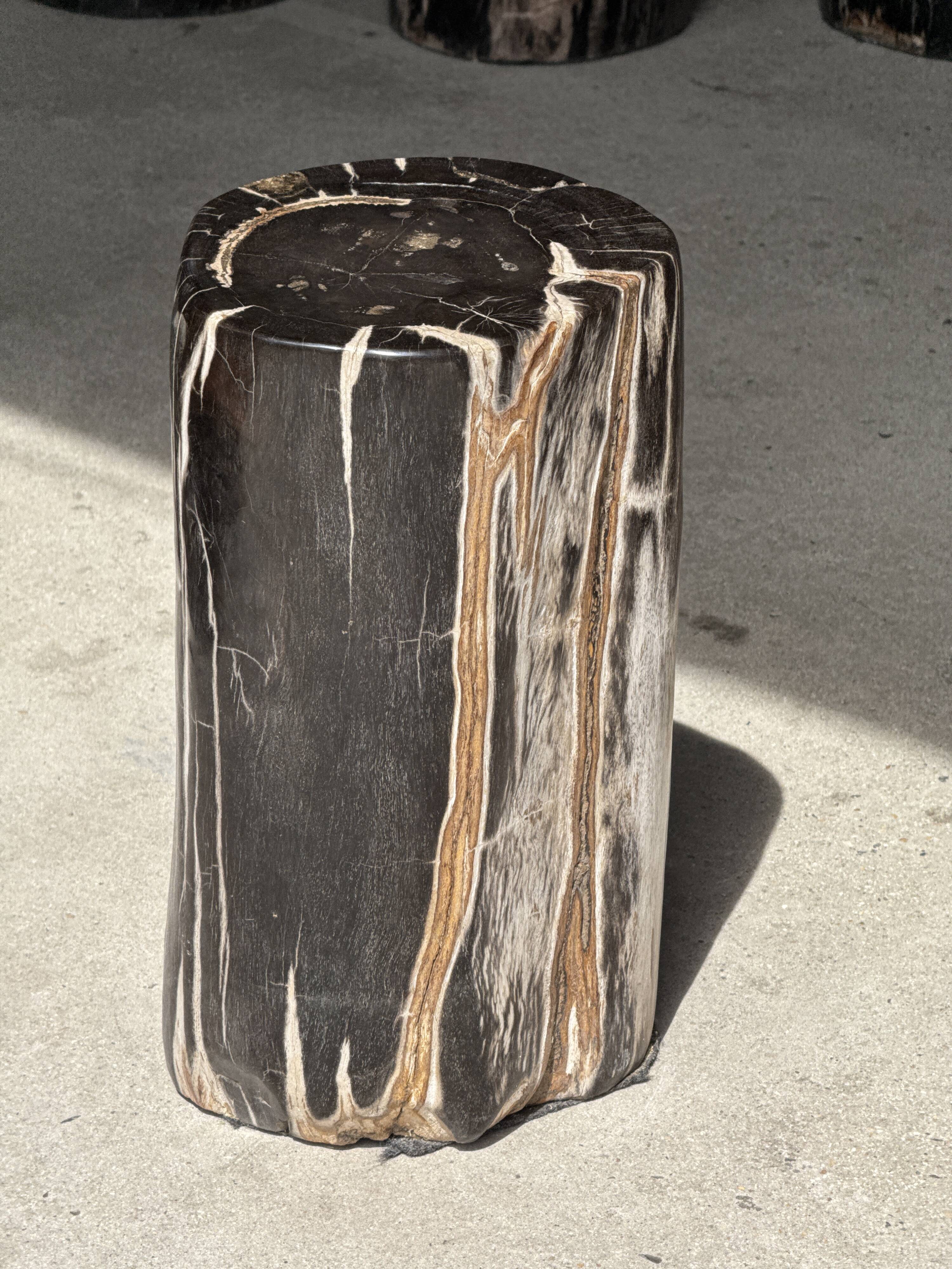 Table d'appoint en bois pétrifié noir