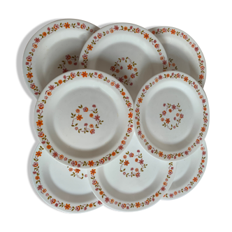 8 assiettes vintage