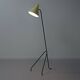 Grasshopper floor lamp by willem van doorn | 1960s, mid-century, yellow