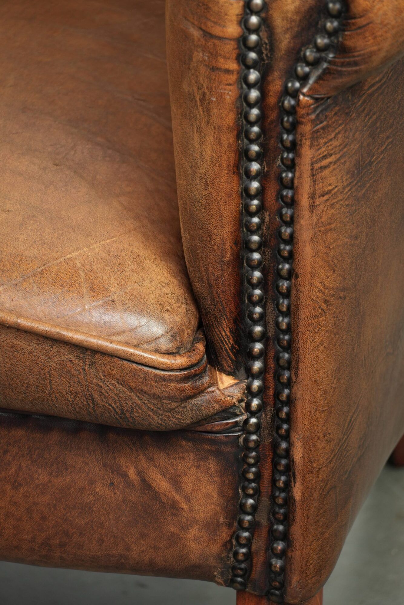 Sheepskin club armchair in a brown colour finished with decorative nails