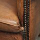 Sheepskin club armchair in a brown colour finished with decorative nails