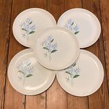 Set of 5 flat plates Sovirel
