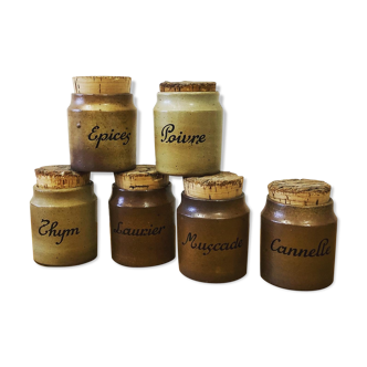 Set of 6 spice jars