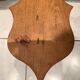 Taxidermy doe head deer deer hunting trophy